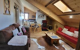 Appartement style montagne avec SPA